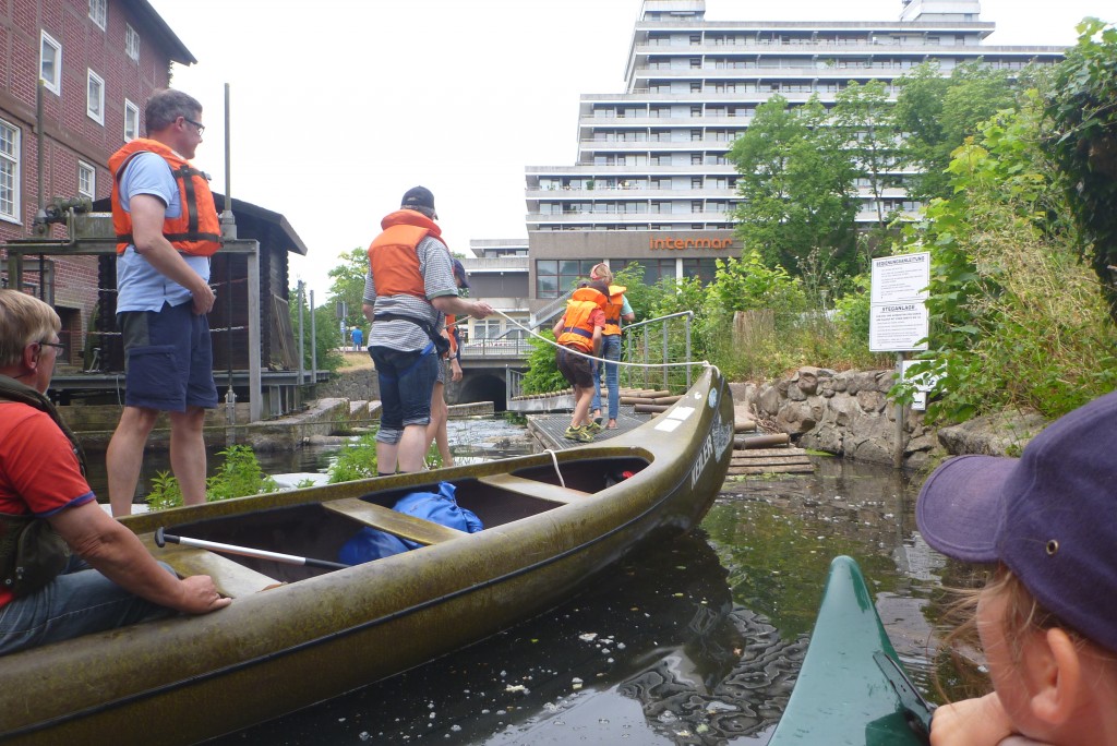 Kassenwart im Verein