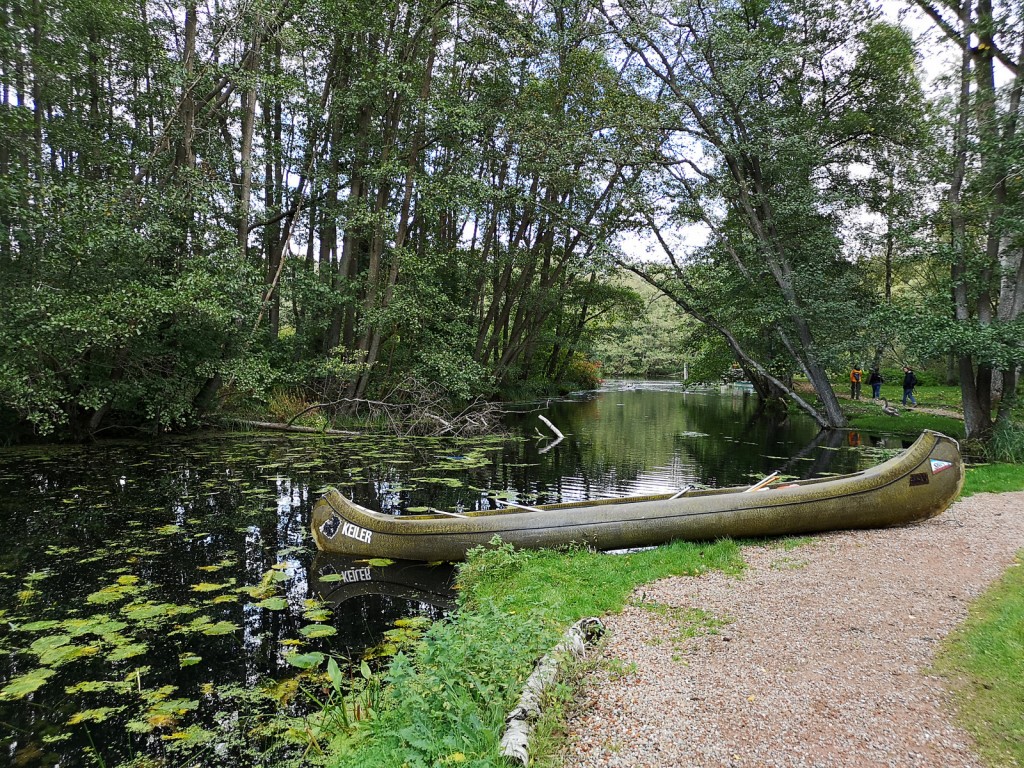 Naturverbundenheit am See